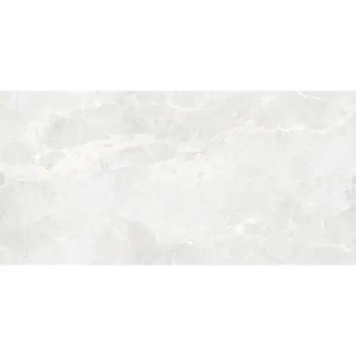 Belleza RS 161 Gris Endless Carving 60x120