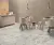 Bonton Ceramica Peniskola Marmo Almond Matt 60x120