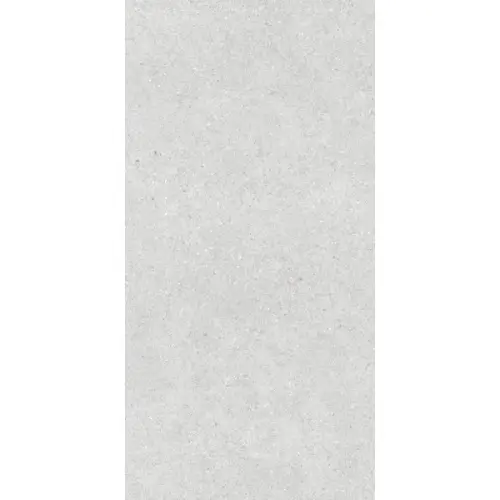 Lasselsberger (LB-Ceramics) Оттепель Техно 6493-0209 Камень светло-серый 60x120 - керамическая плитка и керамогранит