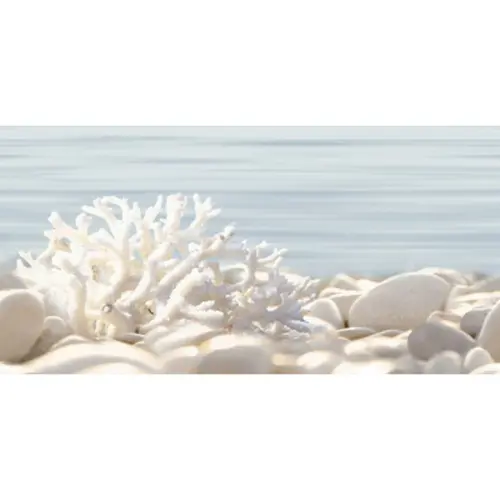 Alma ceramica Del mare DWU09DLM624 24,9x50 - керамическая плитка и керамогранит