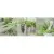 Ceramika Konskie Salerno Glass Kitchen 1 20x60