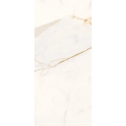Roberto Cavalli Home The Wild Spirit 0500872 Calacatta Oro Lx Rt 59,6x119,2