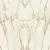 Atlas Concorde Plan AKFB Calacatta Gold Bookmatch Polished 12mm St 162x324