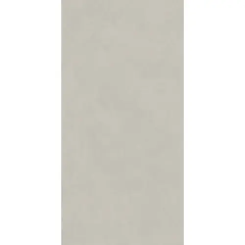 Kerama Marazzi Про Чементо DD590820R Серый светлый матовый обрезной 9mm 119,5x238,5