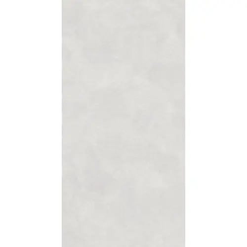 Lasselsberger (LB-Ceramics) Иней Техно 6493-0197 Бетон Светло-серый 60x120 - керамическая плитка и керамогранит