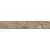 Serenissima Cir Kentucky American Elm 15x90