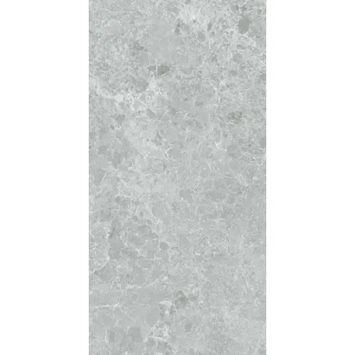 Stn Ceramica Charisma Grey Mt Rect 60x120