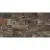 Century Geology 129072 Fossil Two Ret 50x100