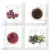 Absolut Keramika Aroma Fosker Set S/4 B 10x10 Absolut Keramika Aroma Fosker Set S/4 B 10x10