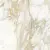 Absolut Gres Calacatta AB 1103G Sun 60x60 Absolut Gres Calacatta AB 1103G Sun 60x60