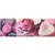 Absolut Keramika Monocolor AK0917 Candy Fruits 06 10x30