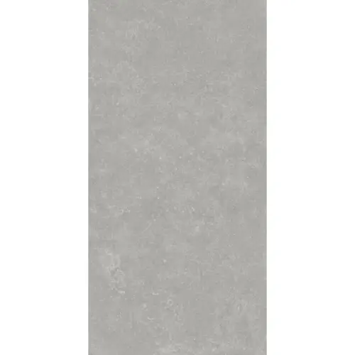Kerama Marazzi Касабланка KM6012B0051R Серый Матовый Обрезной 60x119,5