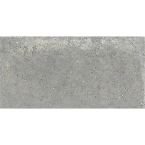 Ariana Anima 0006050 Grigio Nat Ret 60x120 - керамическая плитка и керамогранит