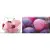 Absolut Keramika Monocolor AK0912 Candy Fruits 01 10x30