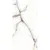 Staro Palacio Crystal White Polished 60x120 Staro Palacio Crystal White Polished 60x120