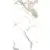 Global Tile Marble Bogrini Calacatta Gold Polished 60x120