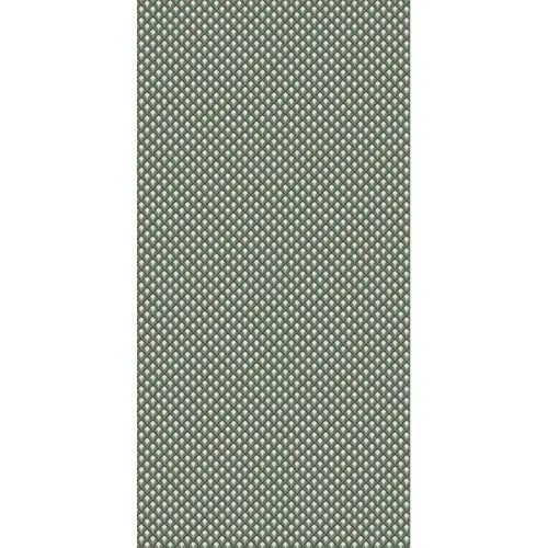 ABK Wide & Style 0007594 Deco Mint 60x120