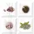 Absolut Keramika Aroma Fosker Decor (composicion) Set S/4 B 10x10 Absolut Keramika Aroma Fosker Decor (composicion) Set S/4 B 10x10