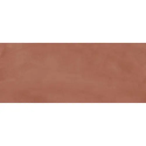 Ergon Pigmento ELNF Amaranto Naturale Rett 120x278