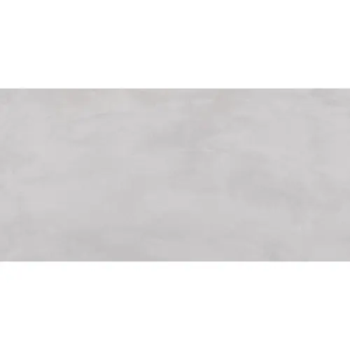 Ergon Pigmento ELNT Grigio Cenere Silktech Ret 60x120