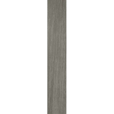 Casalgrande Padana Metalwood 7620195 Argento Naturale 120x20