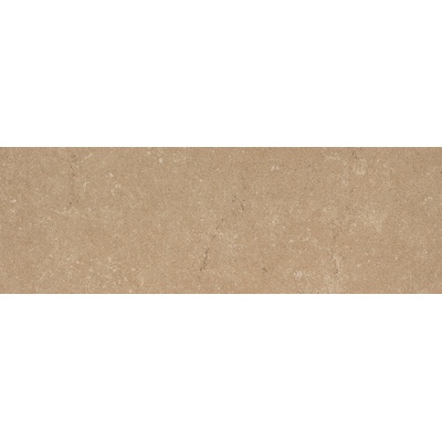 Stone The Room Caramel Cement 100x300