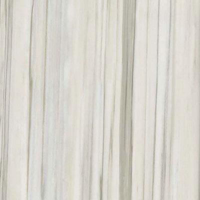Casalgrande Padana Marmoker 2950322 Zebrino 60x60