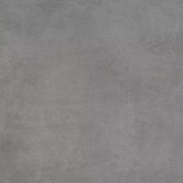 Ariostea Next P6631 Dark Natural Plus 8mm 60x60