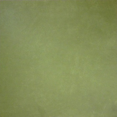 Apavisa Anarchy 8431940208782 Green Natural 59.55x59.55