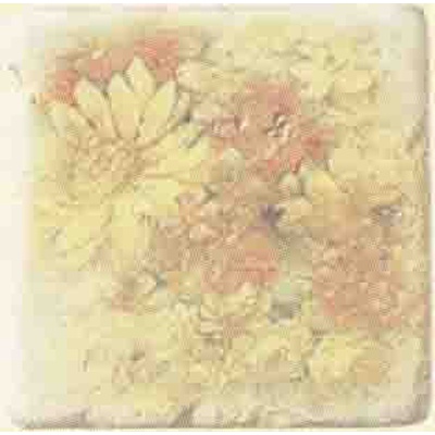 Serenissima Cir Marble Age Inserto Ottocento Botticino S/3 (Ромашки) 10x10