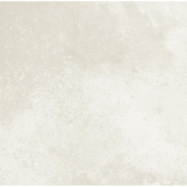 Caesar Portraits AG5N Comblanchien RT 80x80