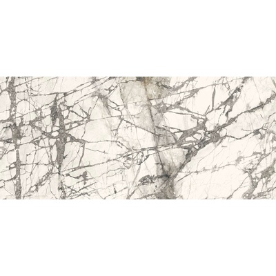 Fmg Maxfine Marmi Calacatta Grey Lucido 269 120x269
