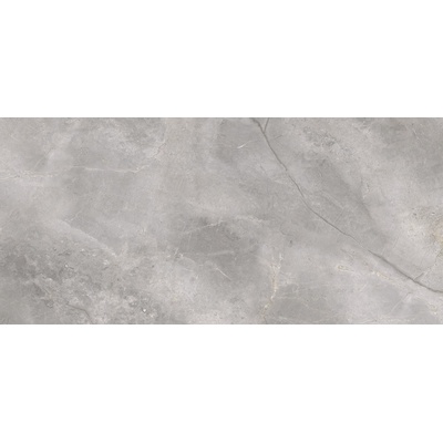 Cerrad Masterstone Silver Rect-2 119,7x279,7