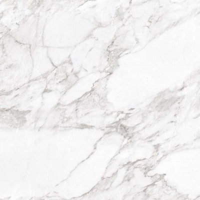 Argenta Carrara White shine RC 60x60