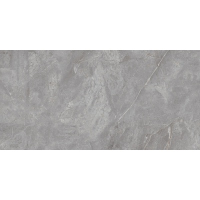 Neodom Belvedere N20484 Orobico Grey Polished 60x120
