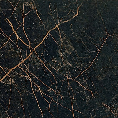 Versace Marble 240013 Nero Saint Laurent Lap. 58.5x58.5