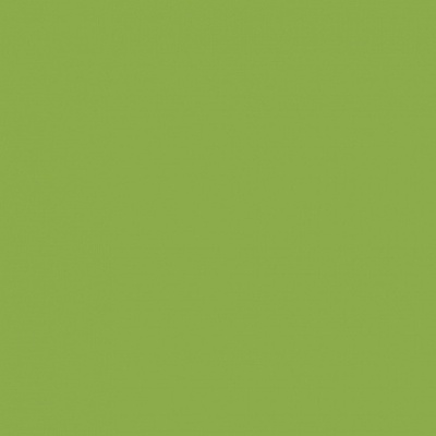 CE.SI. Matt Kiwi Su Rete 10x10