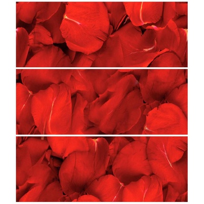 Cerrol Granit Escamas-3 A 60x50