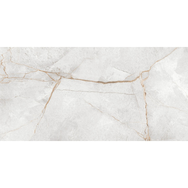 LCM Special Marmo 60120PEC15P Gray Полированный 60x120