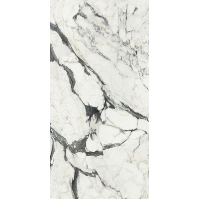 Rex Ceramiche Les Bijoux de Rex 765682 Calac Altissimo Mat 6mm Ret 120x280