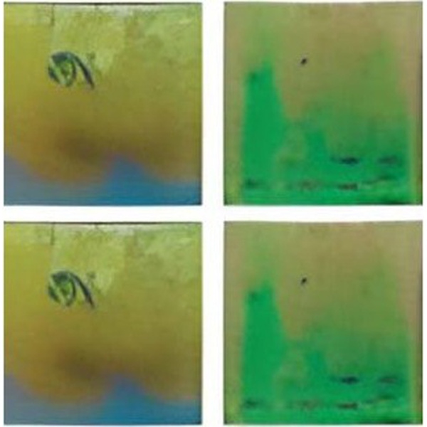 Jnj Gold Link EB71 Стеклянная 32,7x32,7