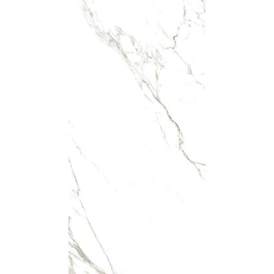 Ceramiche RHS (Rondine) Canova J88474 Statuario Ret 60x120