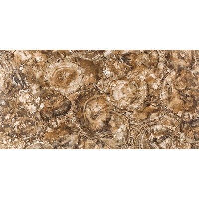 Apavisa Petrified 8431940334146 Wood Pulido 59.55x119.3