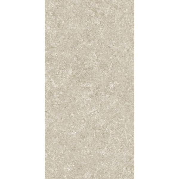 Stn Ceramica Verity Beige Mt Rect 60x120
