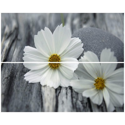 Cerrol Granit Margaritas-2 40x50