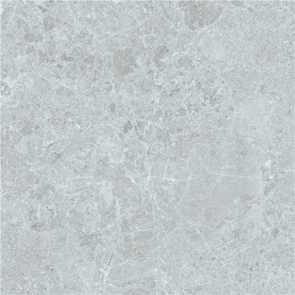 Stn Ceramica Charisma Grey Mt Rect 100 100x100