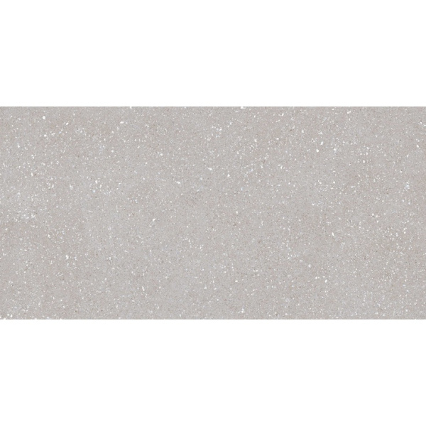 Tau ceramica Sassy Silver Rec 60x120