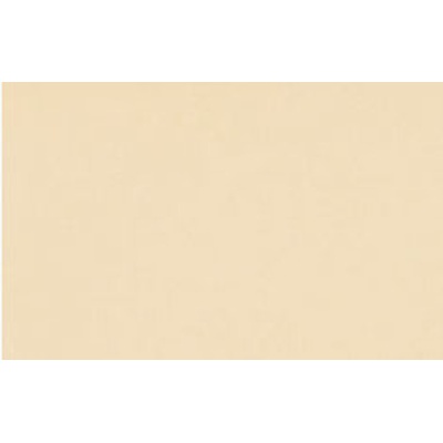 Venatto Pulido Blanco Perla 60 40x60