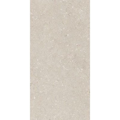 Dado Ceramica Shellstone 005486 Beige 60x120