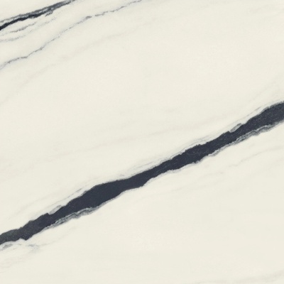 Atlas Concorde Russia Forte Dei Marmi 600010002406 Panda White Matt Rett 120x120 - керамическая плитка и керамогранит